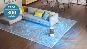 Rūpīga telpu attīrīšana līdz 78 m2 platībā