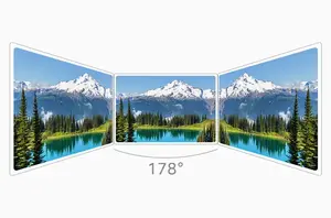 Immense Viewing Angle