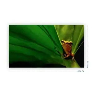 Full HD Resolution