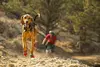 Ruffwear Grip Trex Ботинки для собак XS Photo 2