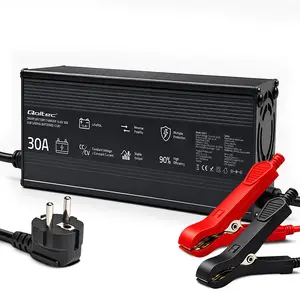 Qoltec 52672 LiFePO4 Battery Charger 12.8V 14.6V 30A 438W CC/CV with Protection