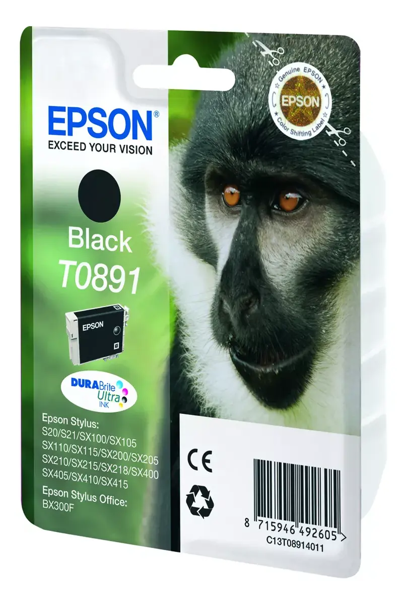 Картридж Epson T0891 Черный Photo 2