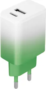 Setty LSIG-AC-20 Wall Charger USB and USB-C 20W Mint-White Gradient
