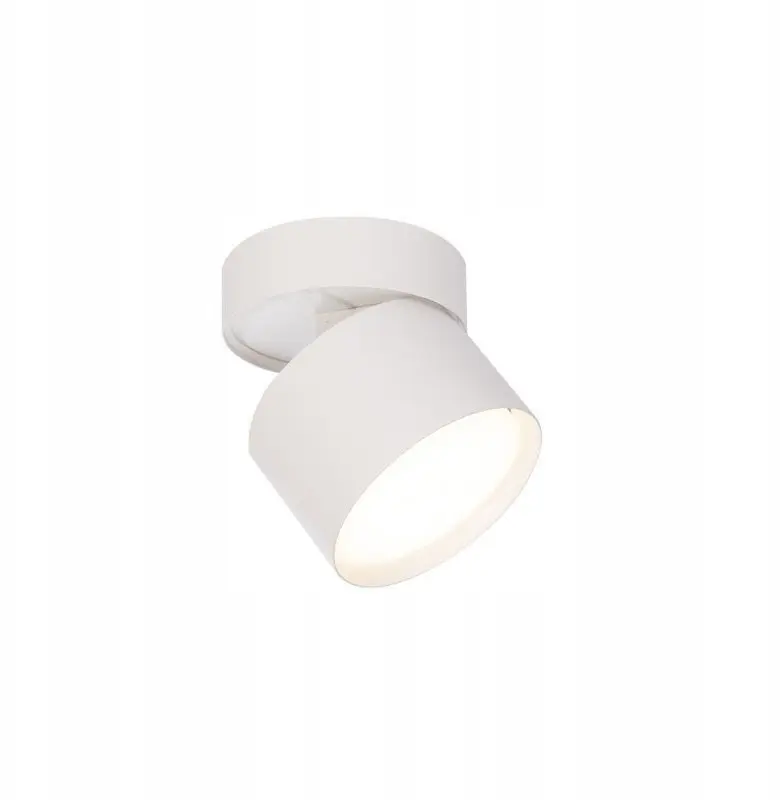 Griestu virsapmetuma gaismeklis Light Prestige Kendal