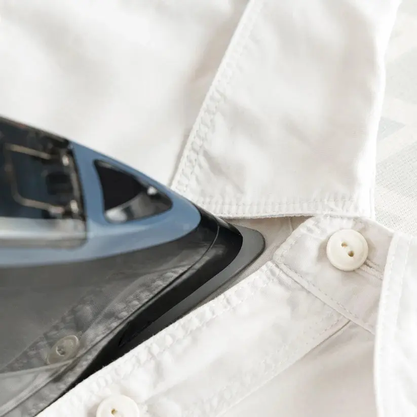 Taurus Geyser Eco Easy 3000 Steam Iron Photo 7