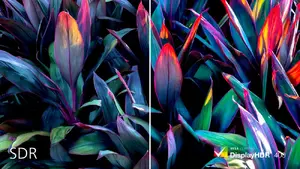 DisplayHDR 400 reālistiskākam un izcilākam attēlam
