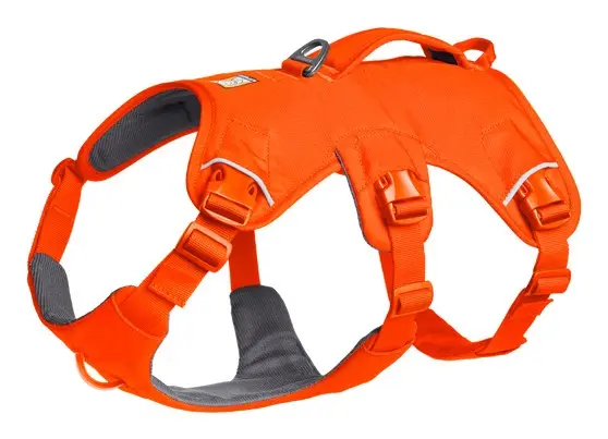 Suņu iejūgs Ruffwear Web Master Blaze