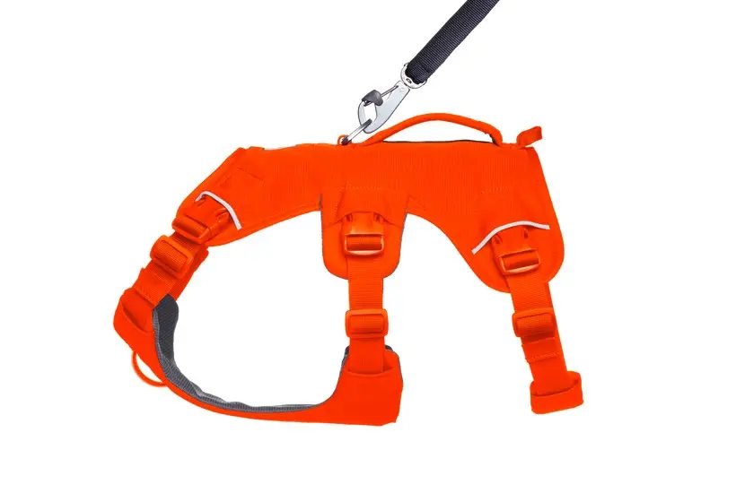 Ruffwear Web Master Dog Harness Blaze Orange Size M Photo 3