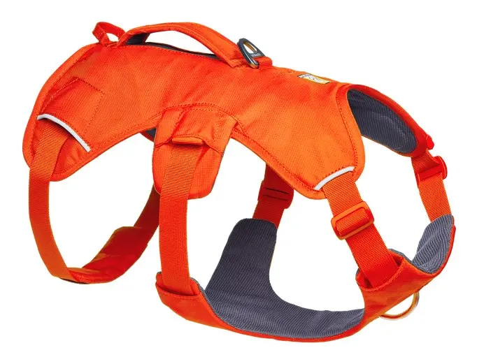 Ruffwear Web Master Dog Harness Blaze Orange Size M Photo 5