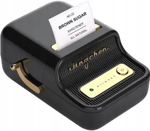 Принтер этикеток NIIMBOT B21 PRO черный
