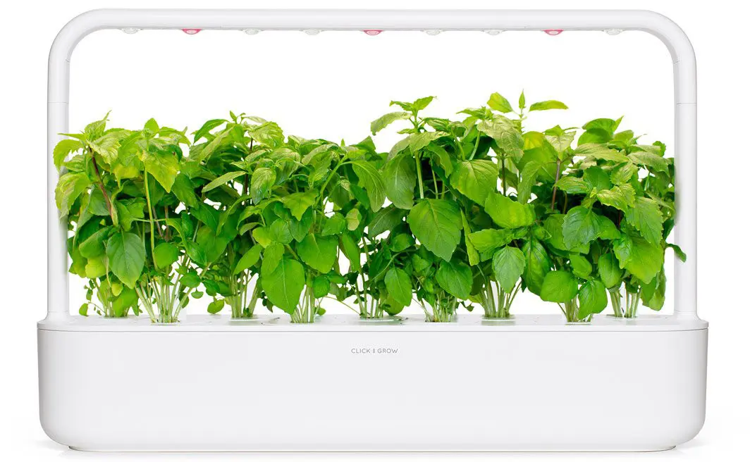 Капсулы Click Grow Коричный базилик для умного сада Photo 2