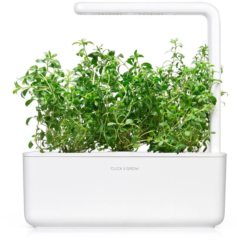 Сменный набор Click Grow Mountain Savory SGR75X3 Photo 2