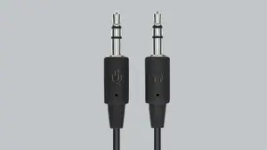 Dual plug connection