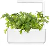 Click Grow Smart Garden Рефилл Мизуна 3 шт Photo 3