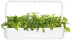 Click Grow Smart Garden Рефилл Мизуна 3 шт Photo 4