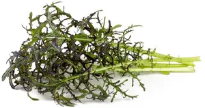 Click Grow Сменный картридж для умного сада Red Frill Mustard 3 шт