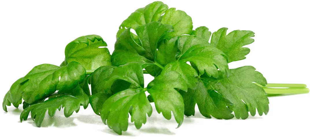 Click Grow Viedā dārza papildinājums lapu