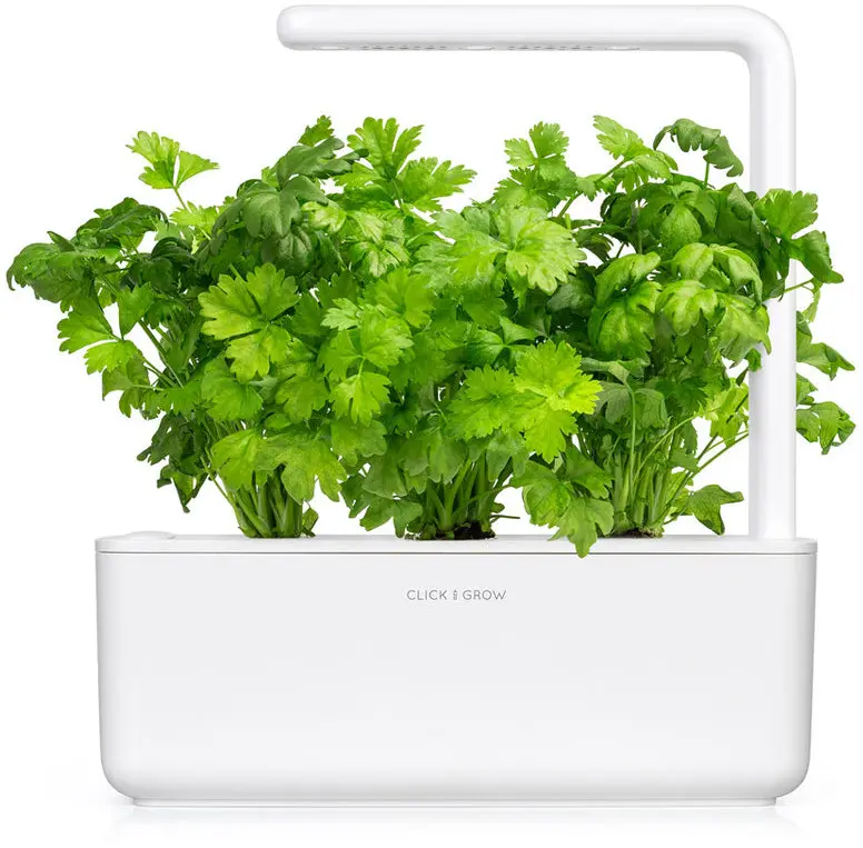 Click Grow Набор листовой сельдерей для умного сада 3 шт Photo 2