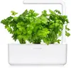 Click Grow Набор листовой сельдерей для умного сада 3 шт Photo 2
