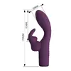 PRETTY LOVE Olivia Rechargeable Rabbit Vibrator Photo 7