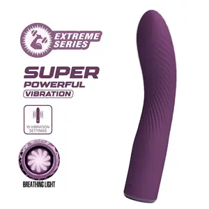 Hightech Kissell Rechargeable Vibrator with 10 Functions, Silicone, Waterproof, USB Magnetic Charging, Purple