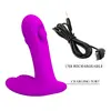 Hightech Bauer Rechargeable Prostate Massager Photo 9