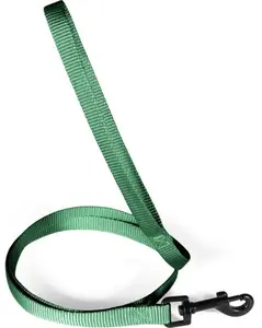 Pets Collection Classic Nylon Dog Leash 1.20 m x 15 mm Green