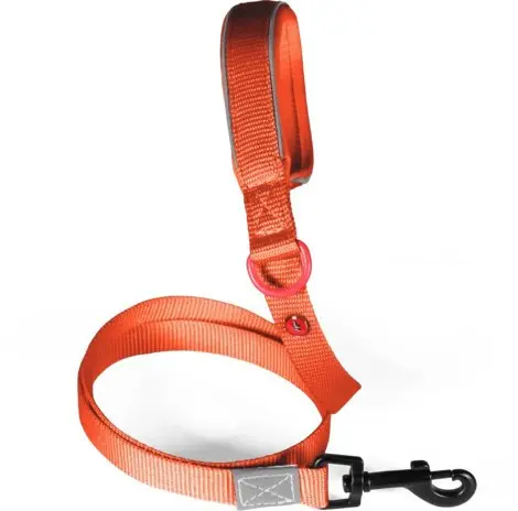 Pets Collection ZOLUX Premium neilona suņu