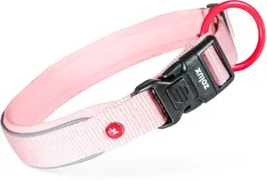 PETSTORY Premium Nylon Dog Collar Size S 35-40 cm 20 mm Pink