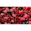 Electrolux ENACUSP8S Built-in Fridge-Freezer 178 cm Photo 8