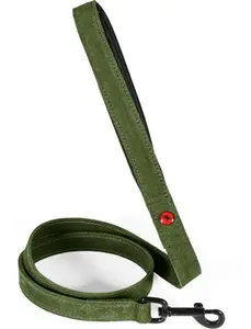 Pets Collection ZOLUX Comfort Leather Dog Leash 1 m x 15 mm Green