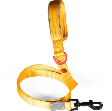 Pets Collection ZOLUX 466935JAU Premium neilona