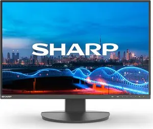 Sharp DD-EA241W melns monitors 24 collas IPS 1920x1200 16:10 5ms 1000:1