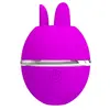 Hightech PRETTY LOVE Gemini Ball Purple Vibrator Photo 6