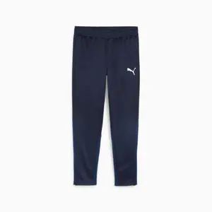 PUMA teamGOAL Male Blue Polyester Tracksuit MPN 148562 L