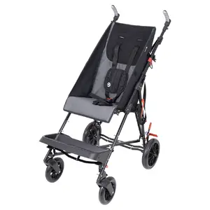Special needs stroller