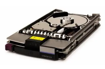 Hewlett Packard Enterprise HotSwap 146GB cietais