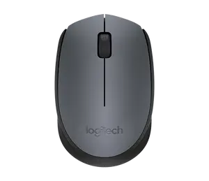 Logitech Wireless Mouse M170 USB