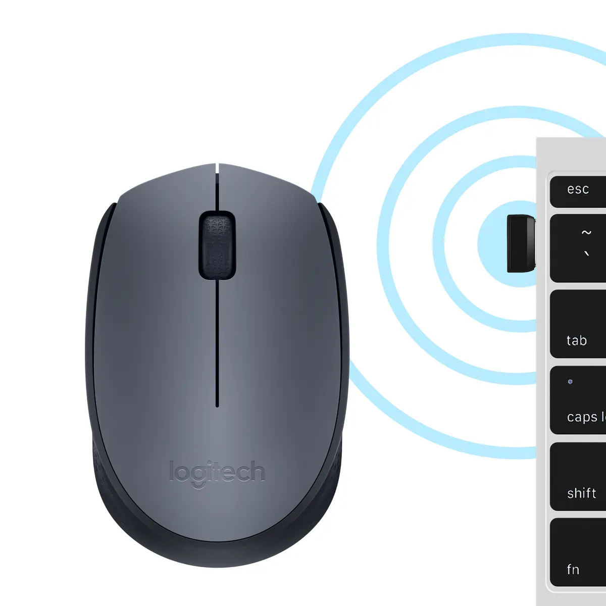 Bezvadu pele Logitech M170 Photo 6