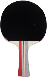 Kubisport Table Tennis Bat 3-Star
