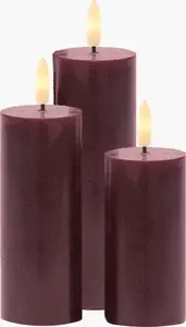 Frendo Sirius Home Holiday Decoration LED 1 Bulb Bordeaux Battery Powered