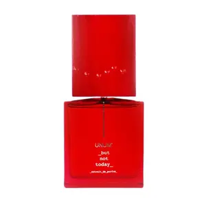 AMOUAGE Filippo Sorcinelli But Not Today Extract of Parfum Spray 100 ml