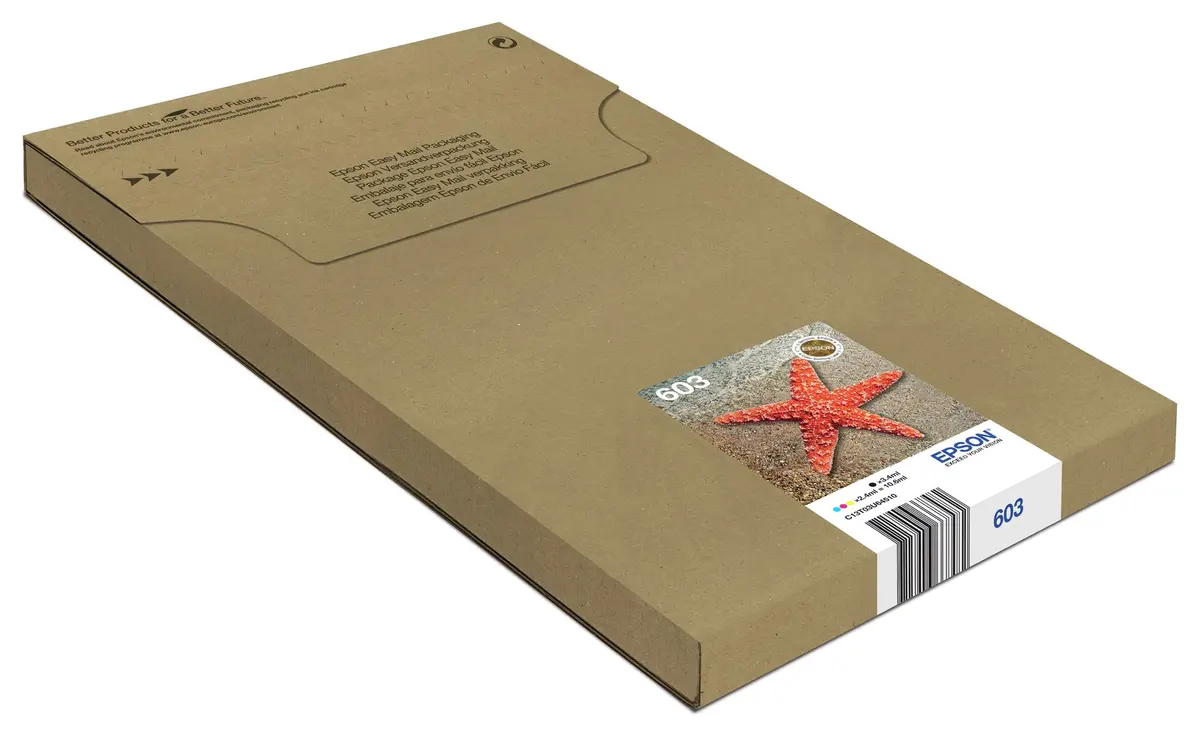 Epson Ink 603 Multipack Easy Mail