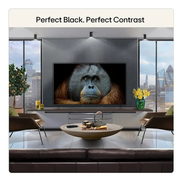 LG OLED AI OLED55B65LA 55 collu 4K Smart TV Photo 11