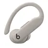 Спортивная гарнитура Beats Powerbeats Pro 2 - Песочный Photo 4