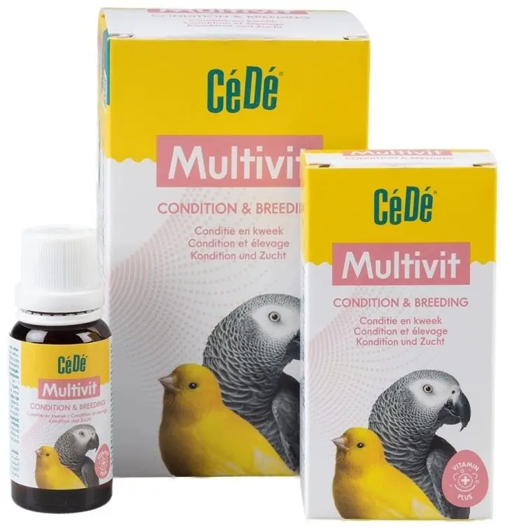 Bird Food