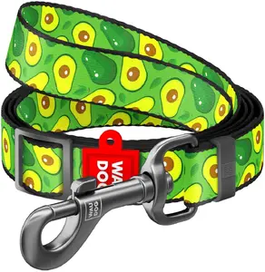 Waudog Nylon Adjustable Dog Leash 25mm 152-183cm Avocado