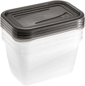 Stoneline Fredo Fresh rectangular food storage container set 4 pieces 0.75 L transparent crystal grey