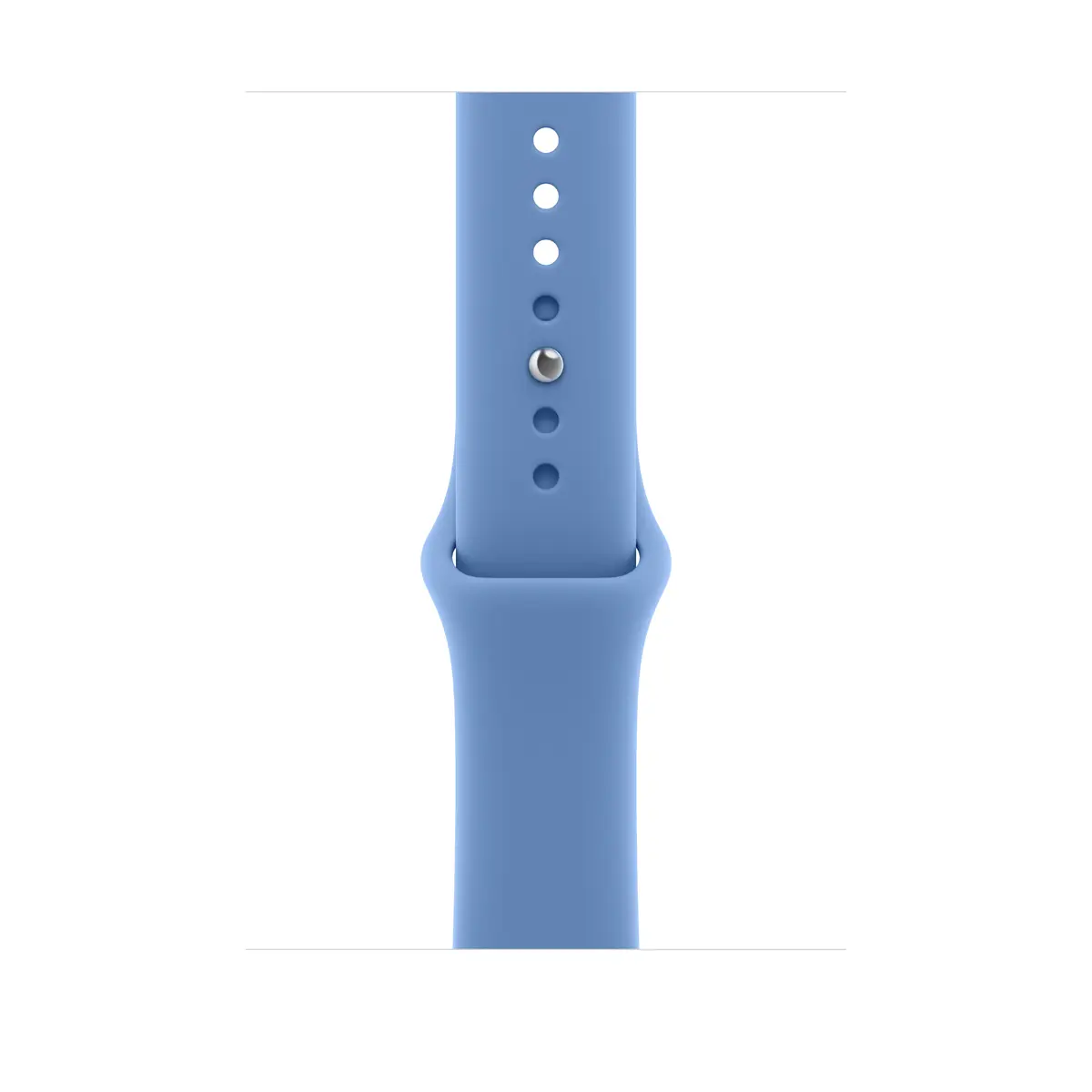 Apple 46mm Wildflower Blue Sport Band