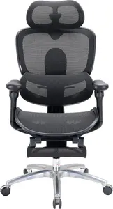 Biroja krēsls Sihoo C300 LITE V2 Black ar kāju balstu